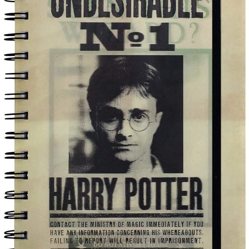 Pyramid HARRY POTTER (SIRIUS & HARRY) 3D BELEŽNICA A5