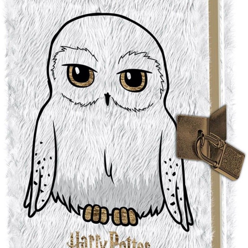 PYRAMID HARRY POTTER (HEDWIG) A5 LOCKABLE NOTEBOOK