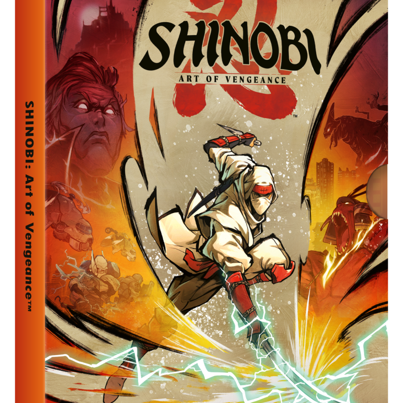 Shinobi: Art Of Vengeance (PC)