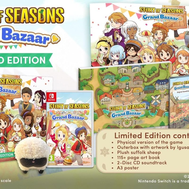 Story Of Seasons: Grand Bazaar - Limited Edition (SWITCH)