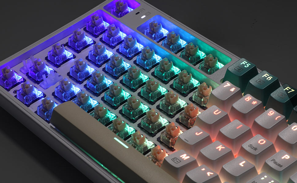 KEYBOARD SWITCH - REDRAGON PANDA A113 HP1 - Slika 8