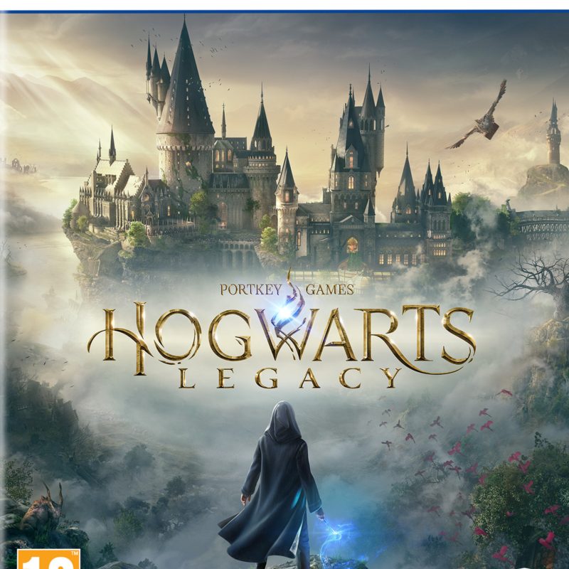 Hogwarts Legacy (Playstation 5)